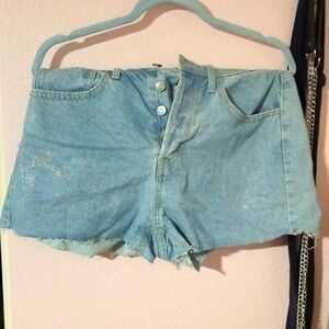 Size 6 Shimmery Jean Shorts